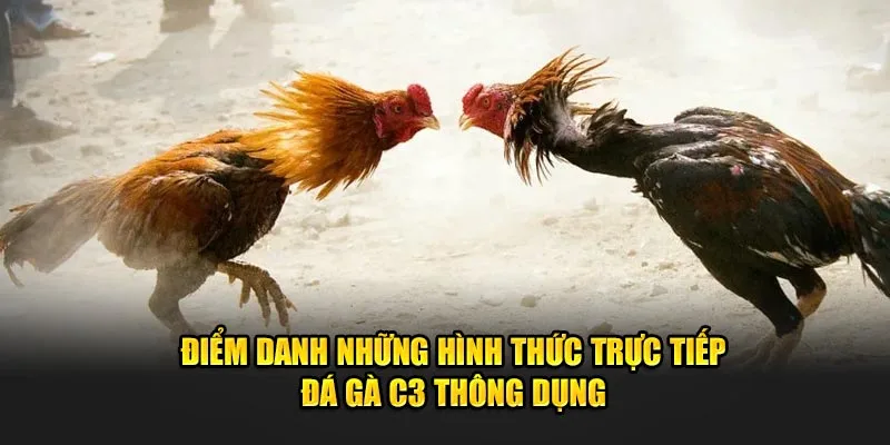 Điểm danh những hình thức trực tiếp đá gà C3 thông dụng